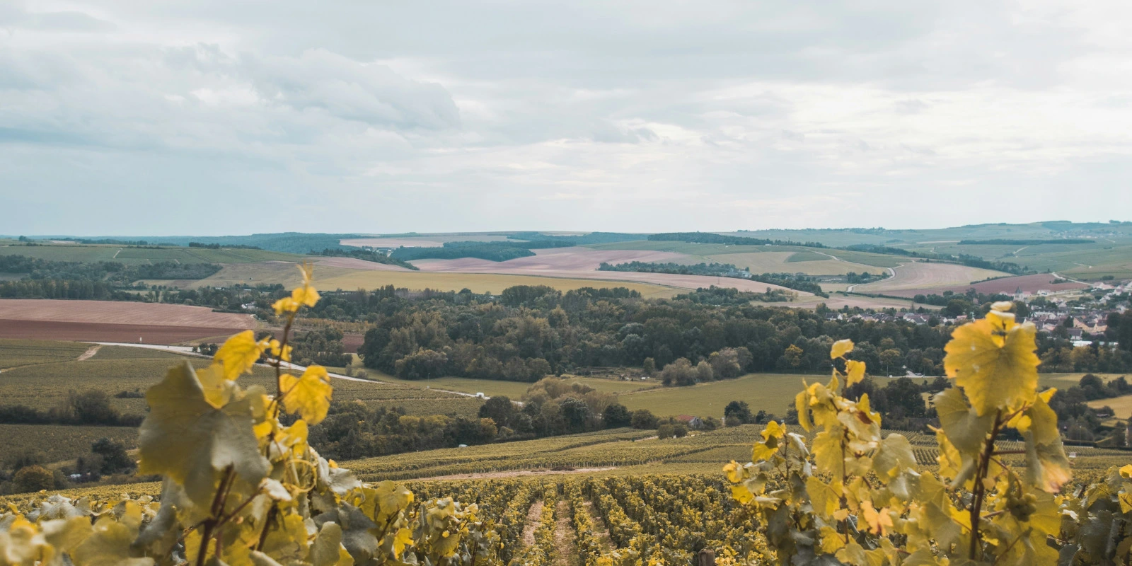 L'Importance des Analyses Environnementales en MP