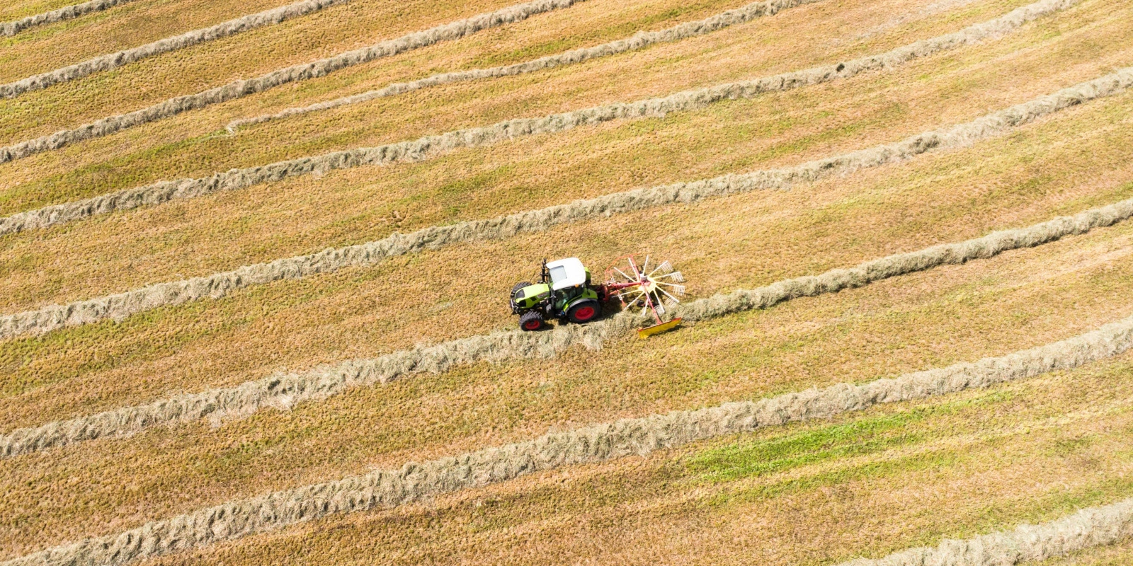 Les Compétences Acquises en DUT Mesures Physiques
